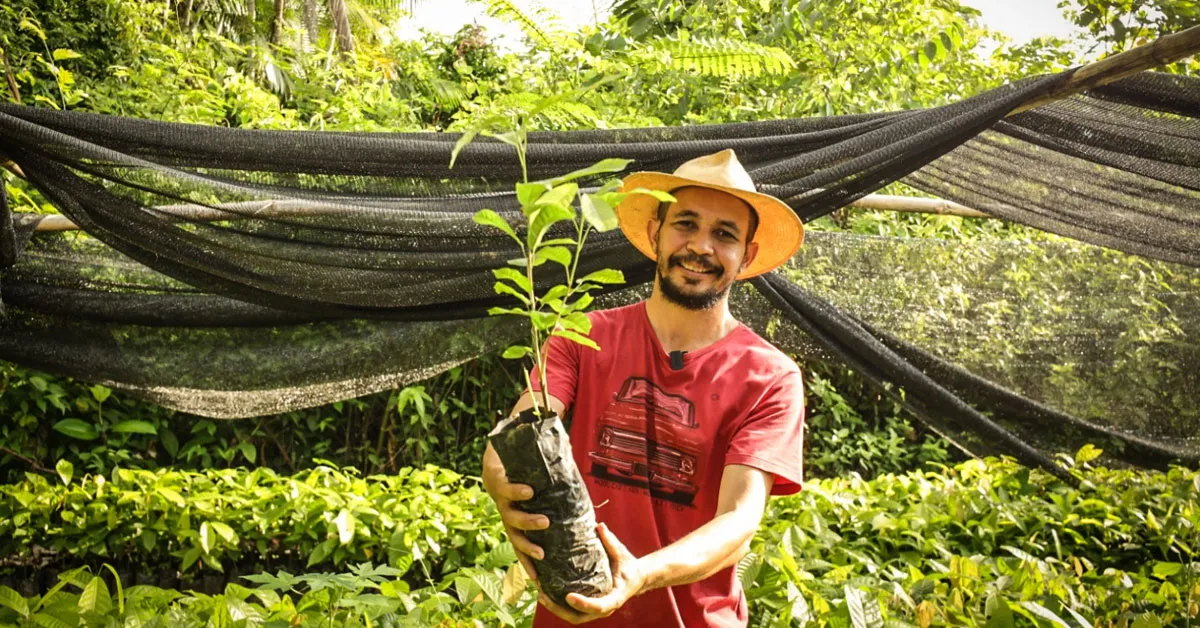 Imagem ilustrativa da notícia: Iniciativa do Governo do Pará apoia agricultura sustentável