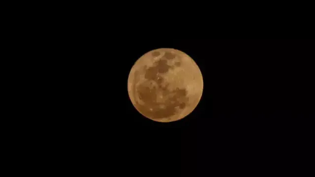 Imagem ilustrativa da notícia: Lua do Veado: veja horário, como assistir e aproveitar a energia astrológica