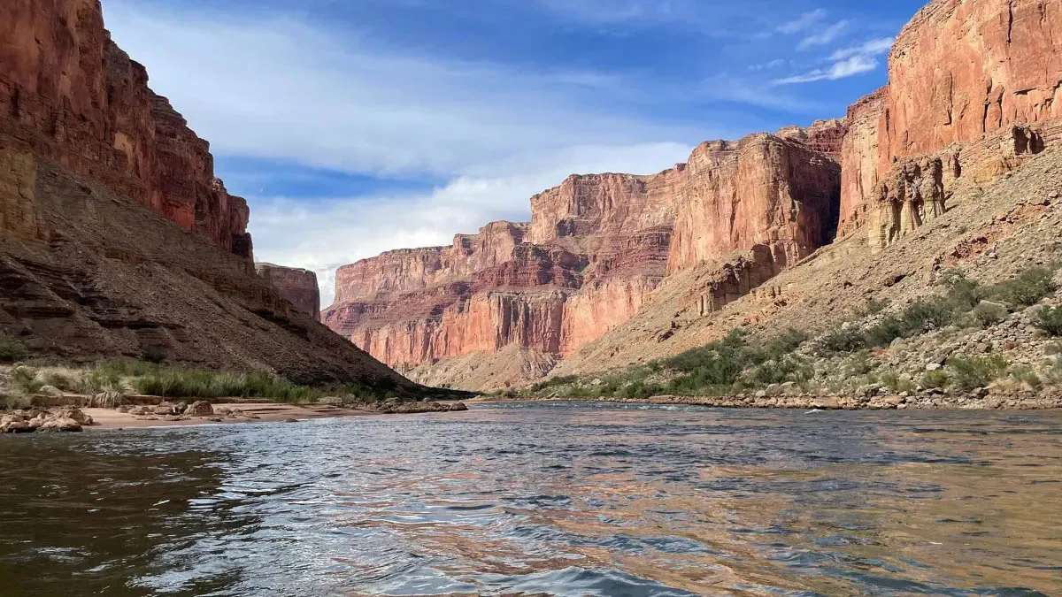 Imagem ilustrativa da notícia: Fóssil de peixe-pênis é encontrado no Grand Canyon; veja