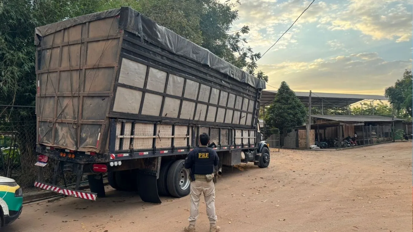 Imagem ilustrativa da notícia: PRF flagra transporte ilegal de madeira e carvão vegetal