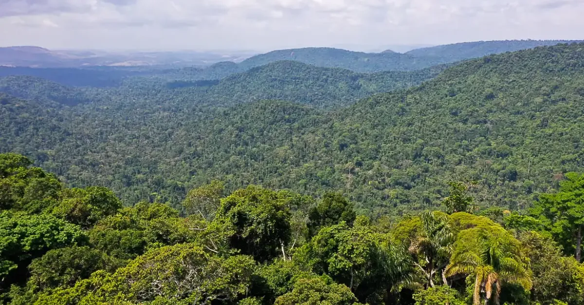 Imagem ilustrativa da notícia: Financiamento de R$ 10 milhões para projetos na Amazônia é lançado 