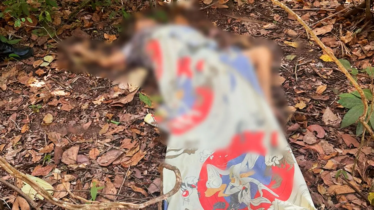 Imagem ilustrativa da notícia: Irmão confessa ocultação de corpo de idosa após queda fatal