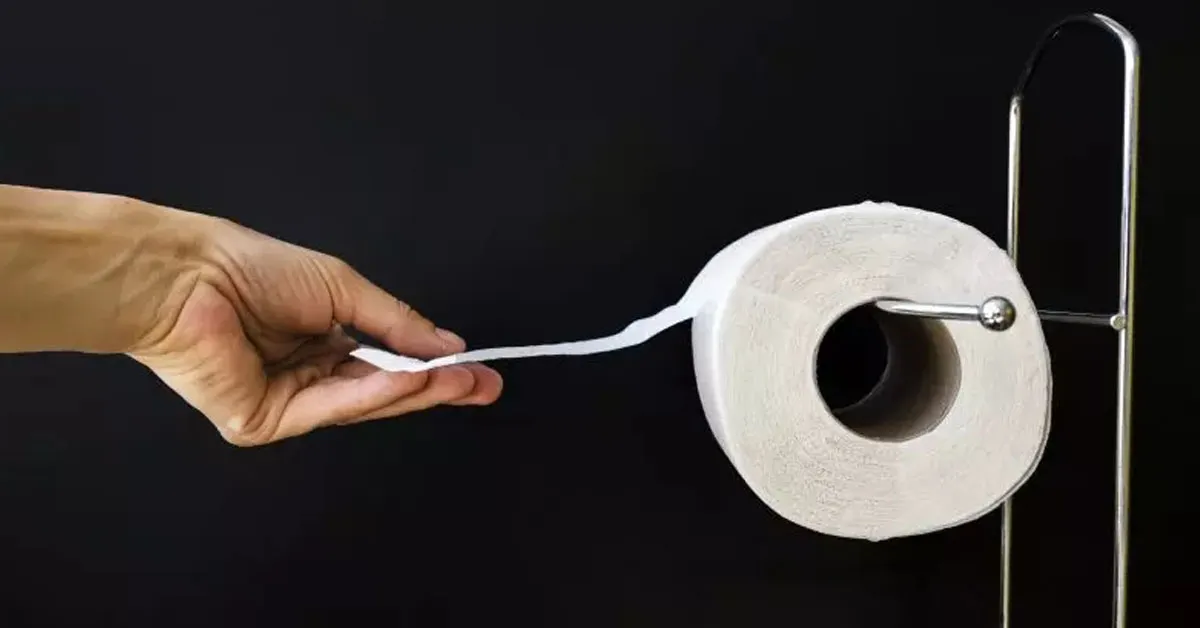 Imagem ilustrativa da notícia: Alerta da camareira: faça isso com o papel higiênico sempre que chegar a um hotel