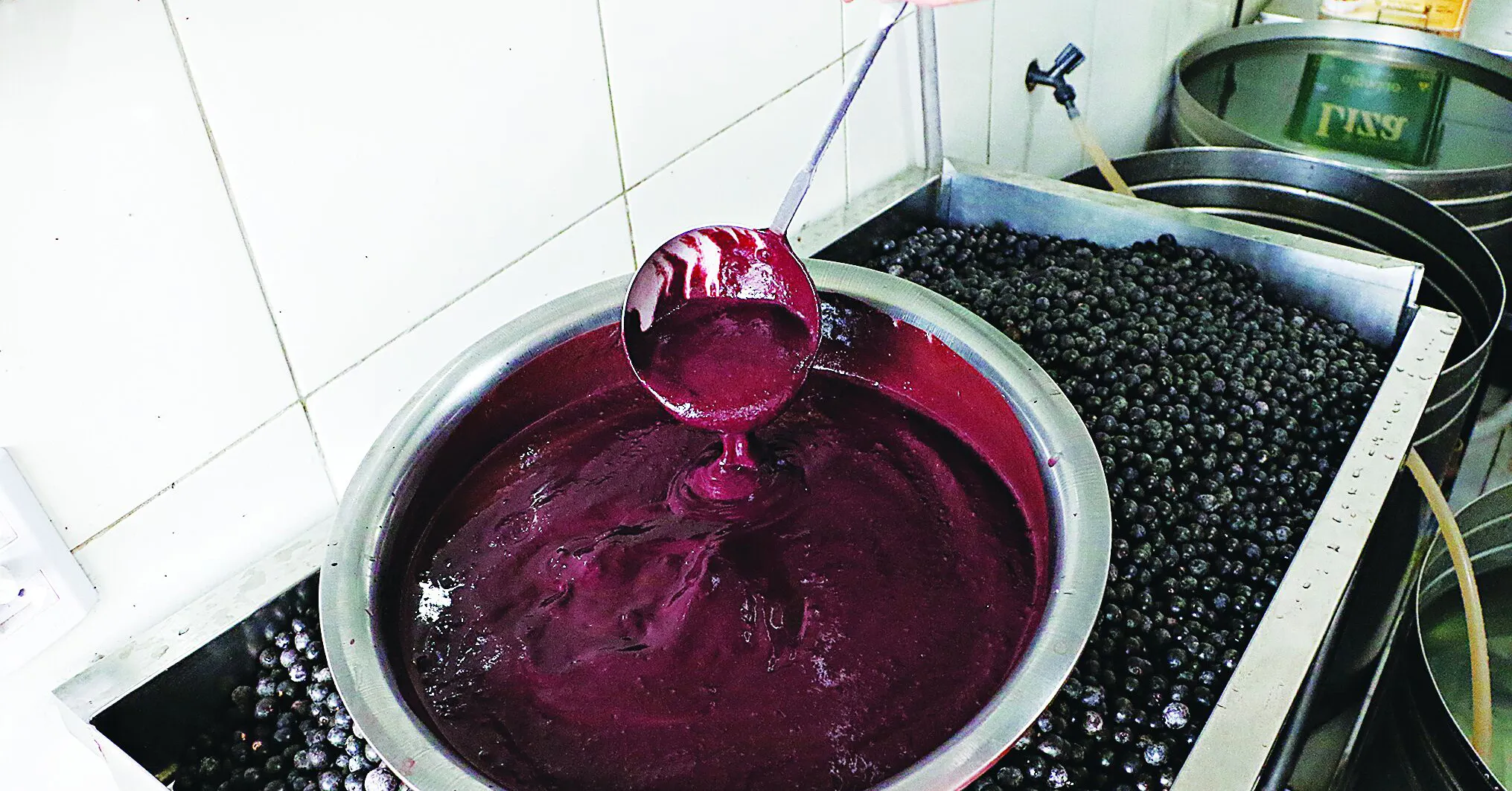 Imagem ilustrativa da notícia: Preço do açaí recua em junho, mas segue em alta no ano. Veja valores