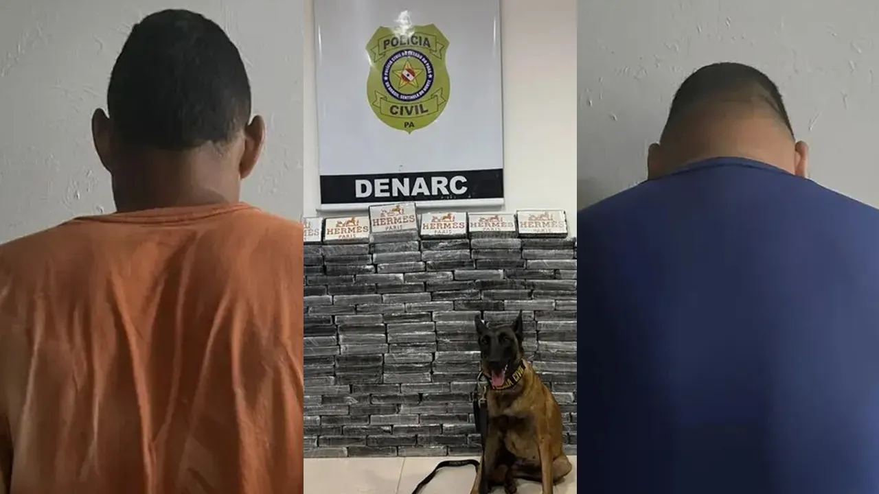 Imagem ilustrativa da notícia: Vídeo: Polícia flagra 200 tabletes de cocaína em caminhão