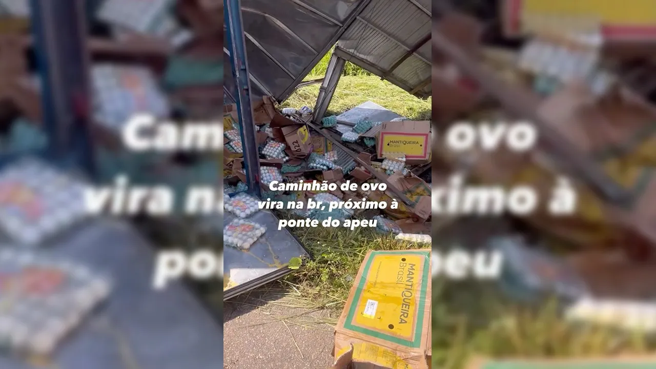 Imagem ilustrativa da notícia: Caminhão com ovos tomba em rodovia no Apeú, em Castanhal