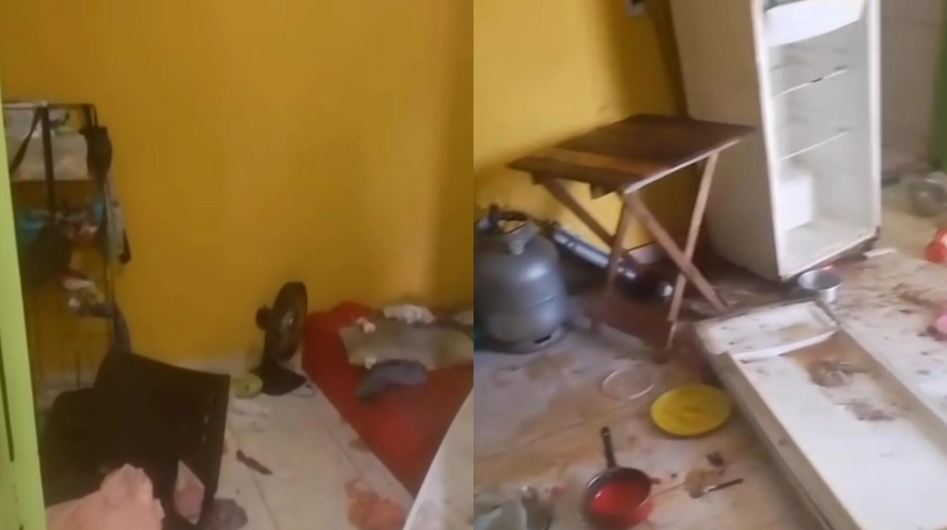 Imagem ilustrativa da notícia: Crianças de 2 e 3 anos em estado de abandono são resgatadas em Belém