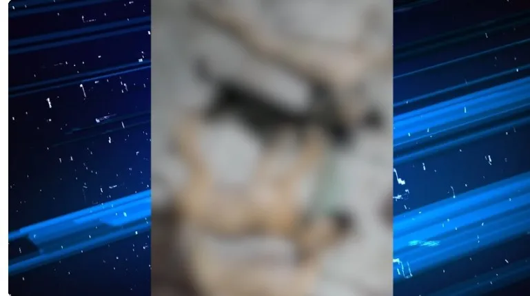Imagem ilustrativa da notícia: VÍDEO: Polícia investiga envenenamento de cães e gatos em Ananindeua