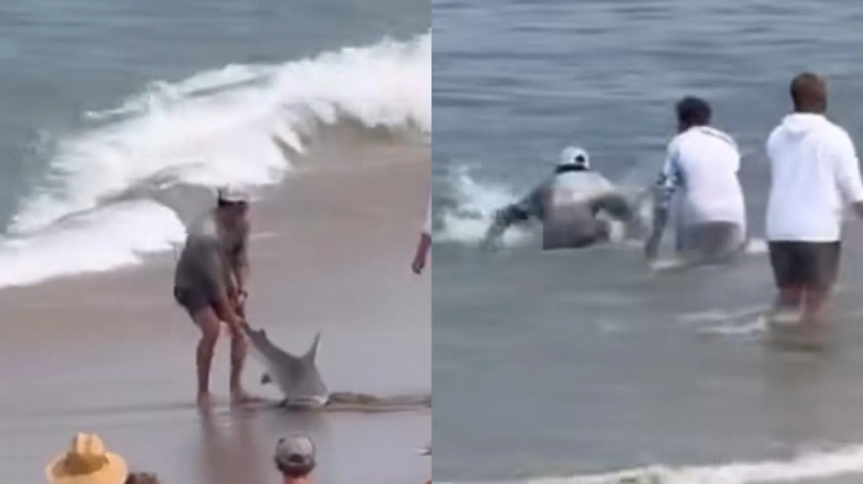 Imagem ilustrativa da notícia: Homem é mordido por tubarão após soltá-lo no mar