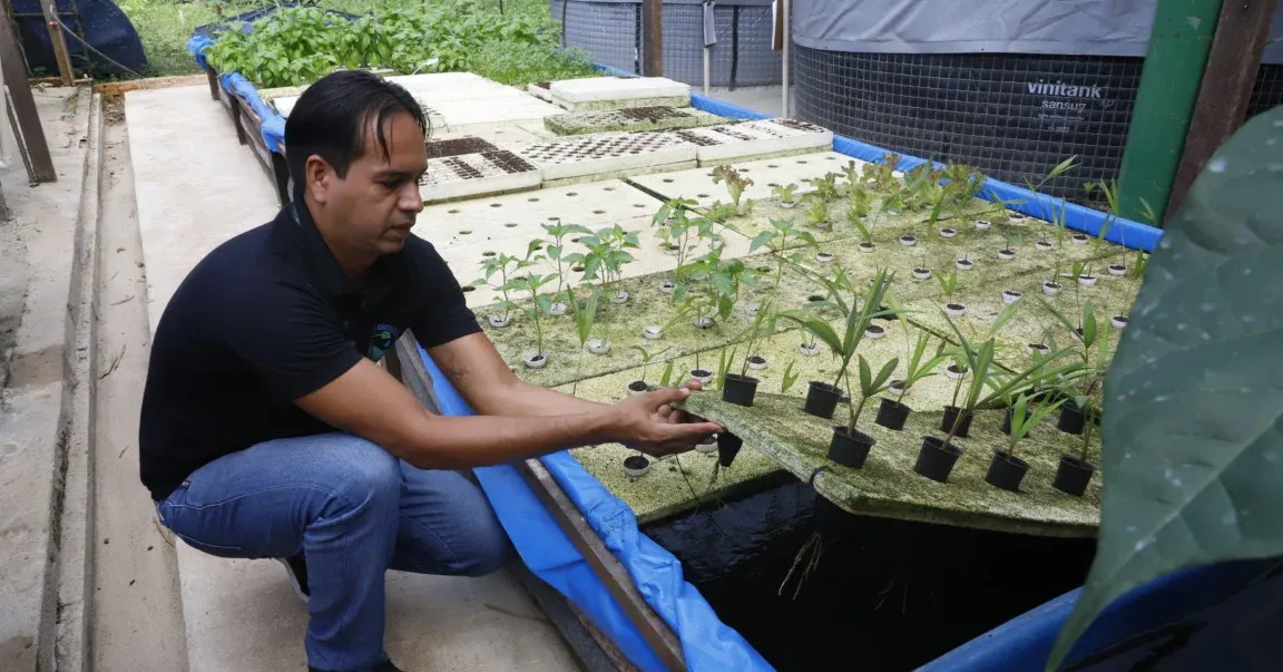 Imagem ilustrativa da notícia: Sistema alia a criação de peixes com o cultivo de plantas