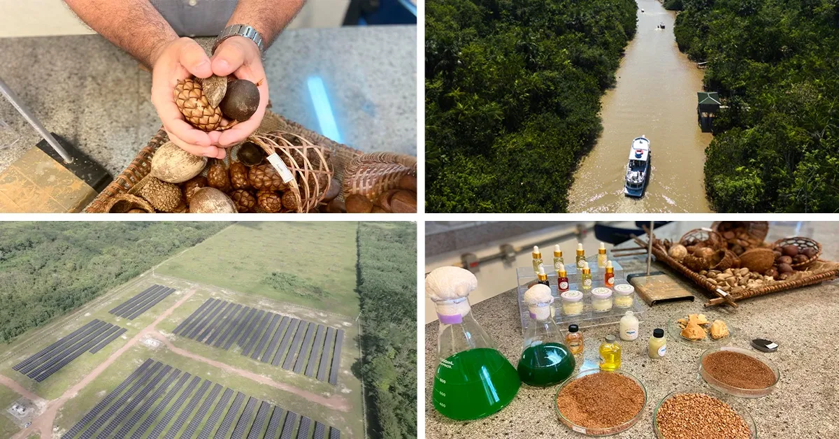 Da floresta amazônica se apresentam alternativas para o combustível do futuro