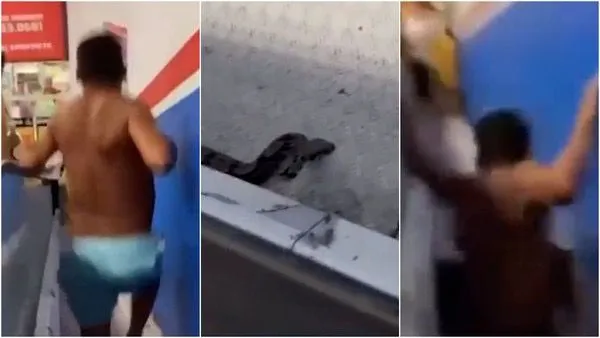 Imagem ilustrativa da notícia: VÍDEO: Homem despenca em buraco de escada rolante ao tentar capturar cobra