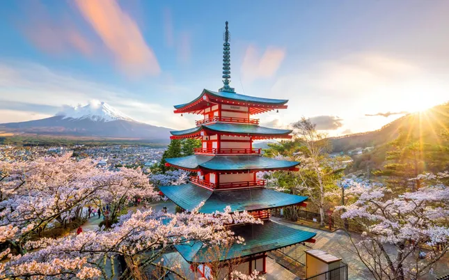 Imagem ilustrativa da notícia: É paraense e quer estudar no Japão? Veja como fazer