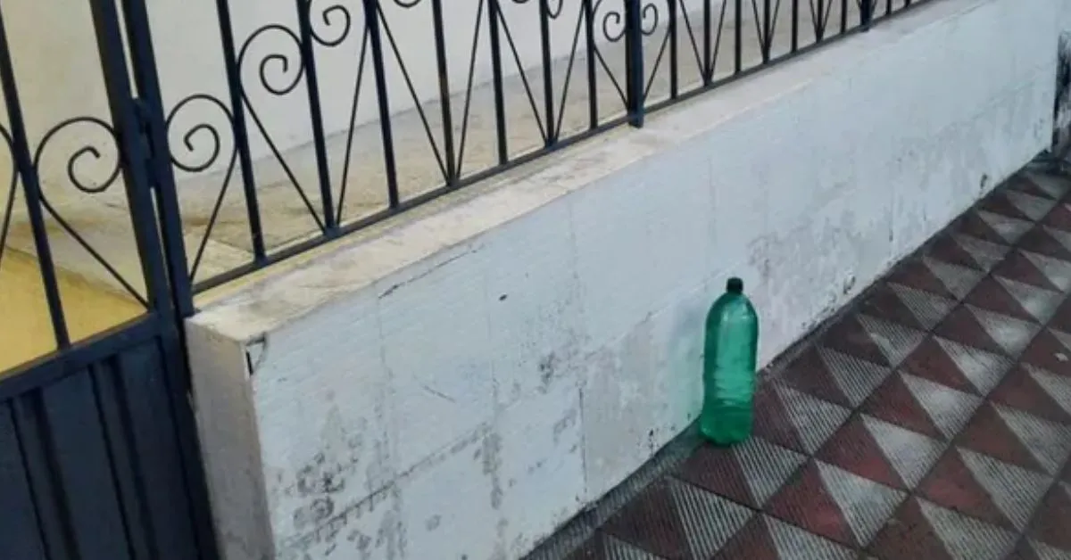 Imagem ilustrativa da notícia: Deixar garrafas de água na porta de casa: saiba o motivo