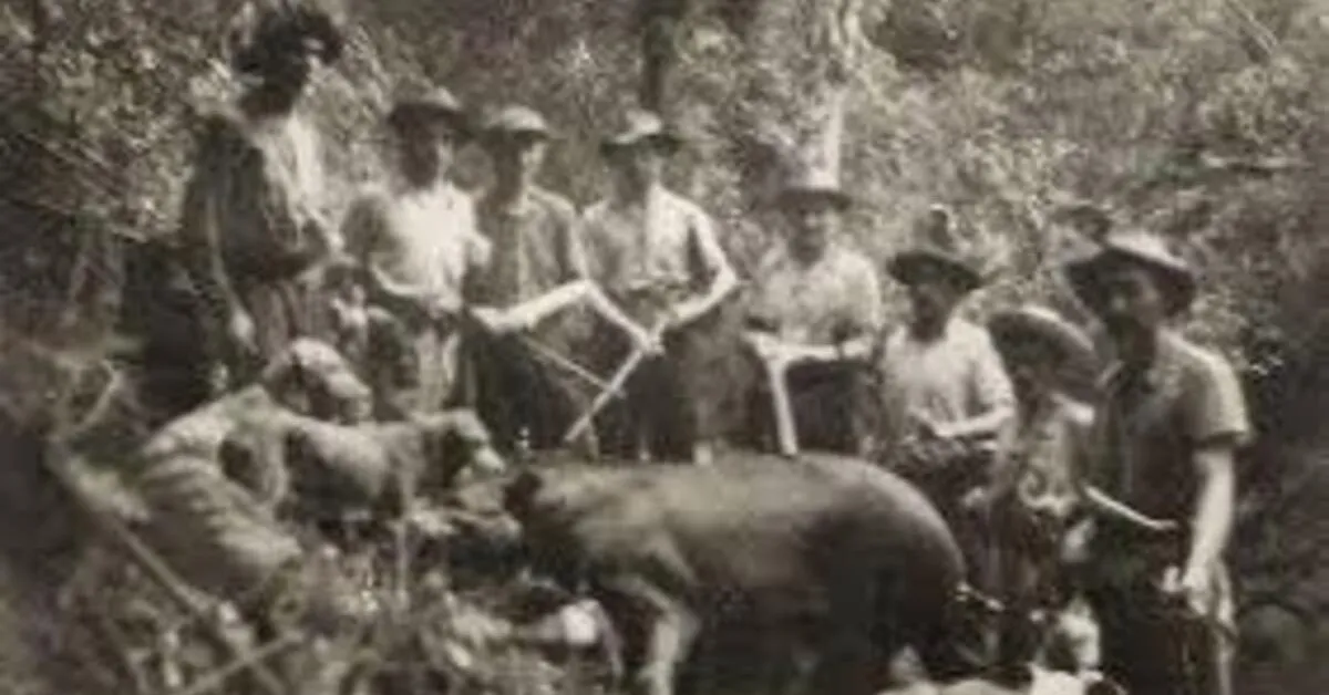 Imagem ilustrativa da notícia: Maior mamífero terrestre reaparece após mais de 100 anos