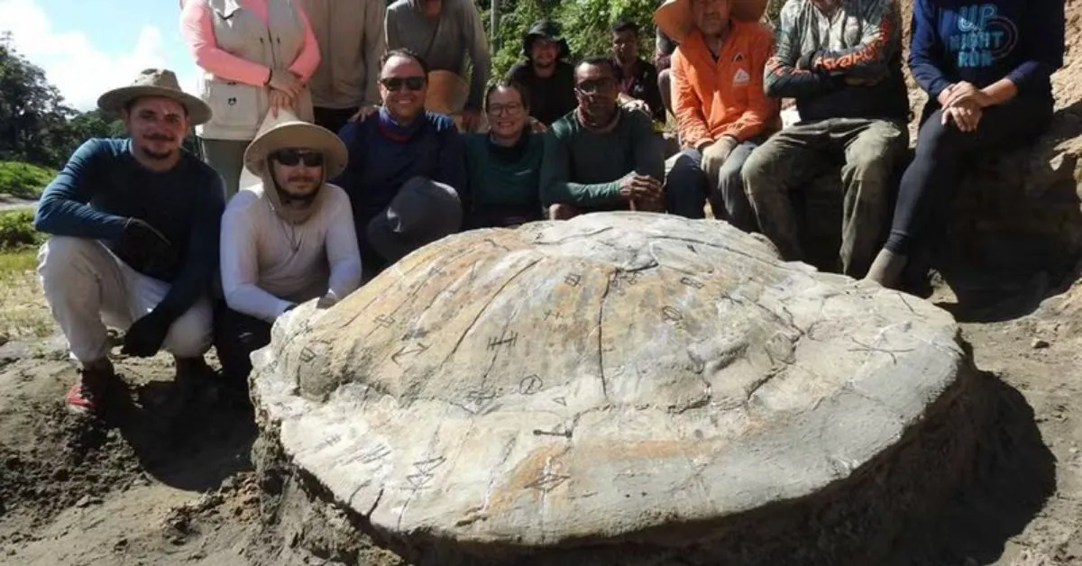 Imagem ilustrativa da notícia: Fóssil de tartaruga de 13 milhões de anos é encontrado no Acre