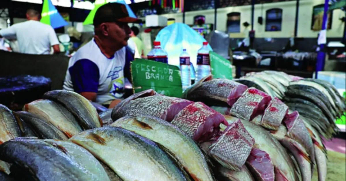 Imagem ilustrativa da notícia: Preço do peixe alivia no bolso do paraense