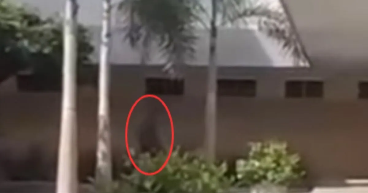 Imagem ilustrativa da notícia: Vulto misterioso é captado por câmeras de hospital em Macapá