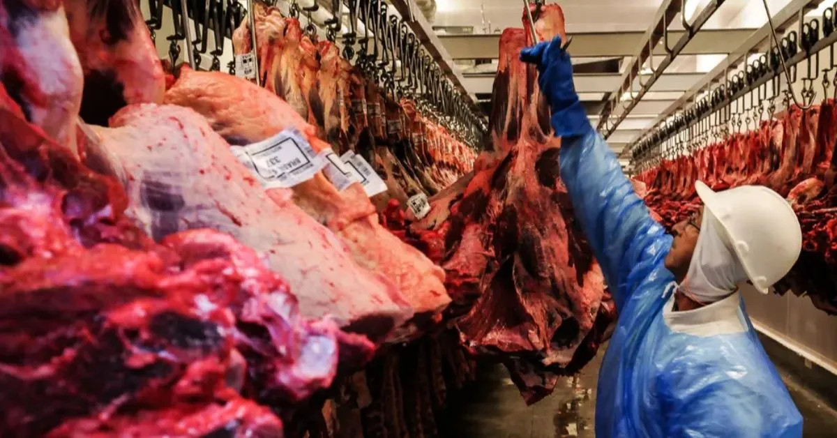 Imagem ilustrativa da notícia: Frigoríficos brasileiros suspendem venda de carne aos EUA; entenda