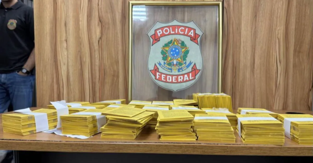 Imagem ilustrativa da notícia: Policiais apreendem 500 carteiras de vacina falsas no Pará