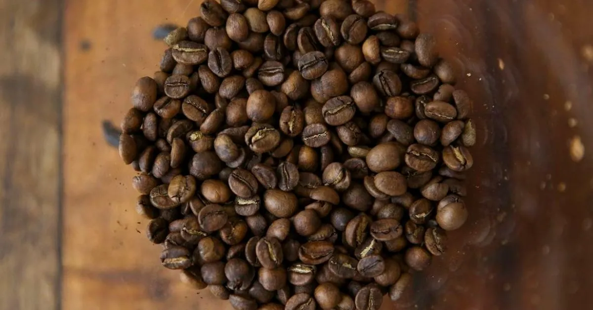 Imagem ilustrativa da notícia: Preço do café cai e alivia bolso brasileiro após 18 meses de alta