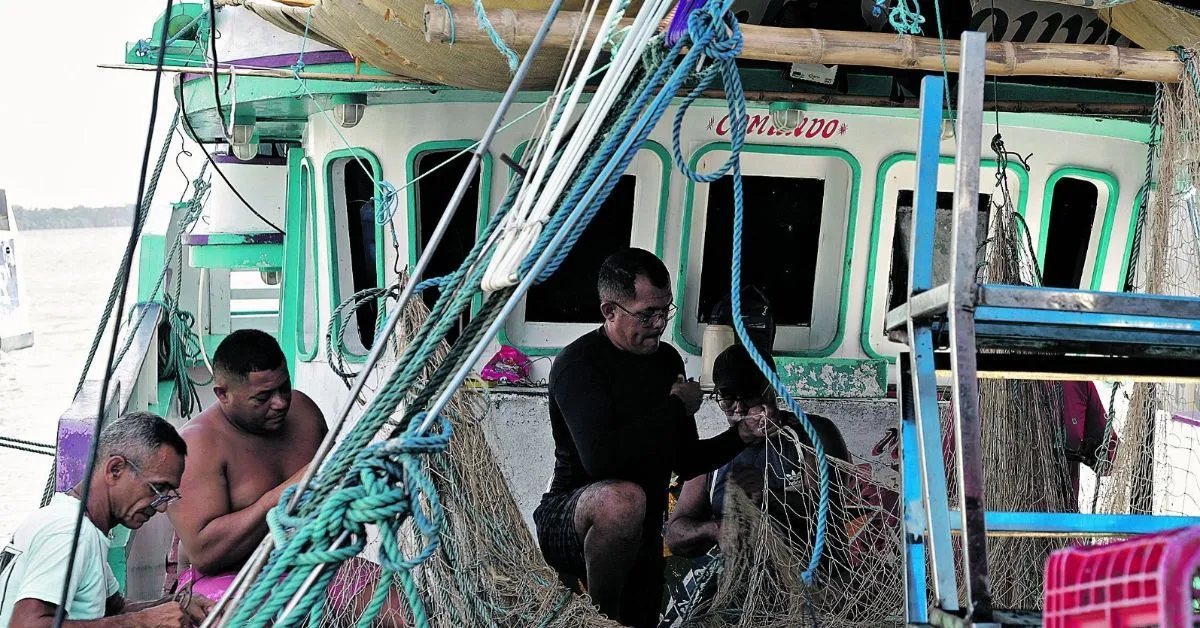 Imagem ilustrativa da notícia: Pará tem cerca de 208 mil pescadores; conheça suas histórias e desafios