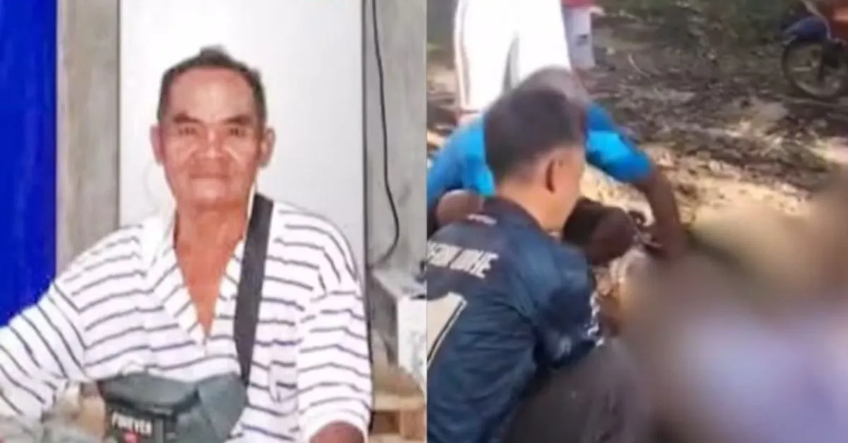Imagem ilustrativa da notícia: Agricultor é devorado por cobra píton gigante na Indonésia