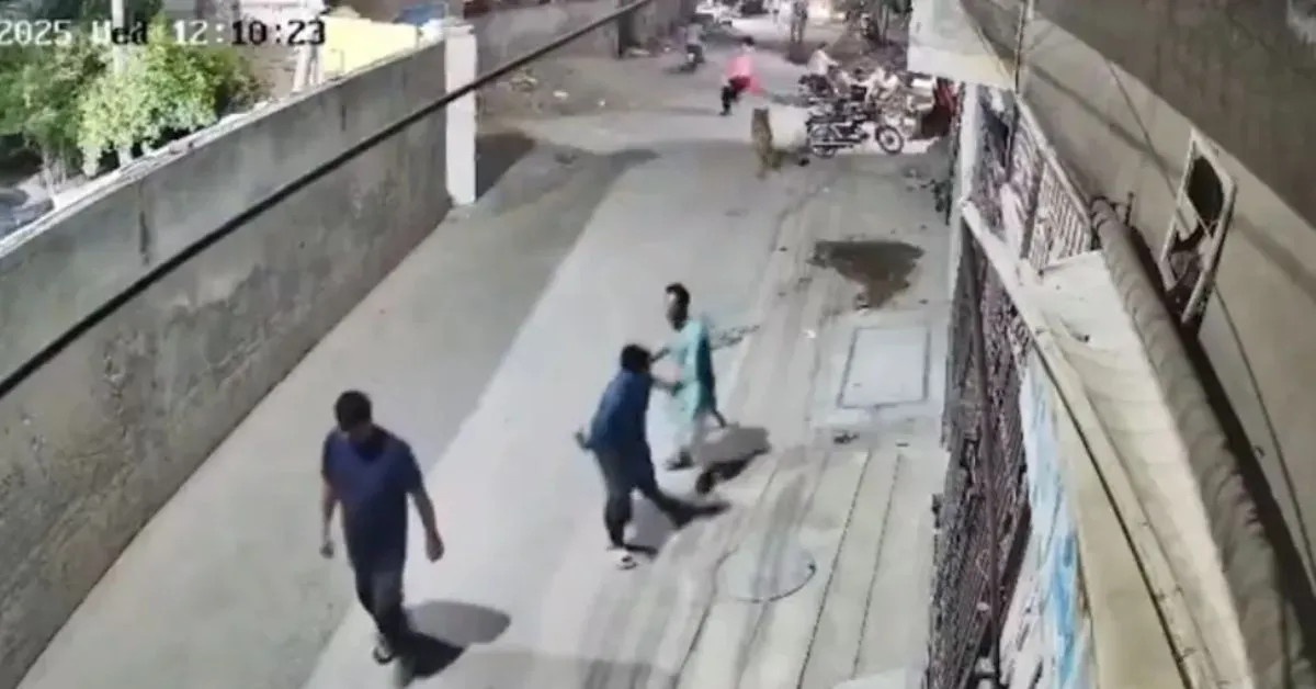 Imagem ilustrativa da notícia: Vídeo: leão foge e ataca uma mulher e duas crianças no Paquistão