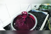 Apesar do recuo, o valor do açaí segue elevado em comparação com a inflação do período.