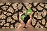 O solo é o responsável por fornecer os nutrientes essenciais para o crescimento das plantações