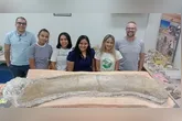 Peça foi descoberta em abril de 2021 durante obras de terraplanagem no interior do Maranhão