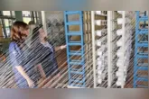 Indústria brasileira deve ter grandes desafios com a sobretaxa
