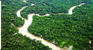 Imagem ilustrativa da notícia: Pará tem menor área sob alerta de desmatamento da década