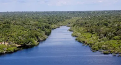Imagem ilustrativa da notícia: Encontro de cinema internacional une Amazônia e Caribe em Belém
