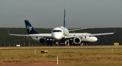 Imagem ilustrativa da notícia: Avião da Azul atropela tamanduá e voo no Pará é interrompido