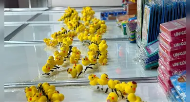 Imagem ilustrativa da notícia: O que são os patos literários que viraram febre da Feira do Livro