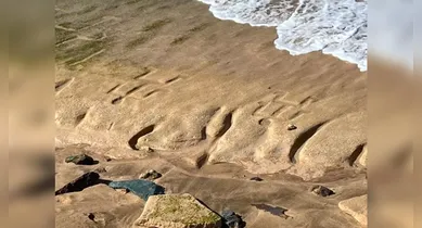 Imagem ilustrativa da notícia: Maré baixa faz desenhos de 500 anos reaparecerem no Havaí