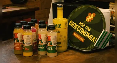 Imagem ilustrativa da notícia: 'Aqui tem Bioeconomia': iniciativa incentiva bionegócios no Pará