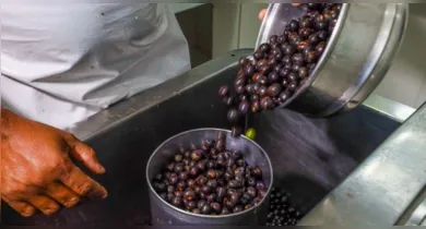 Imagem ilustrativa da notícia: Audiência pública definirá critérios para alimentação na COP