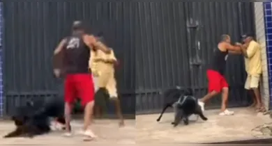 Imagem ilustrativa da notícia: Vídeo: cachorros e tutores se metem em briga juntos durante passeio