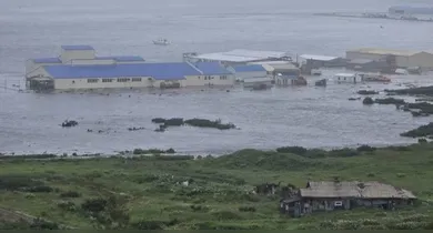 Imagem ilustrativa da notícia: Vídeo: Tsunami atinge Japão e Rússia após terremoto de magnitude 8,8