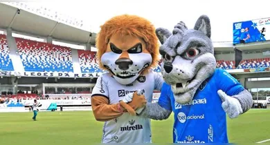 Imagem ilustrativa da notícia: Remo x Paysandu: quem tem mais sócios-torcedores adimplentes?