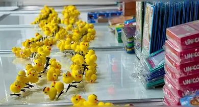 Imagem ilustrativa da notícia: Pato Literário vira febre: onde conseguir em Belém?