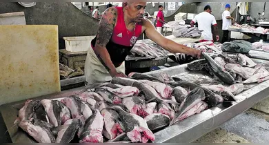 Imagem ilustrativa da notícia: Terreno no Tapanã pode substituir a Pedra do Peixe e mudar a pesca em Belém