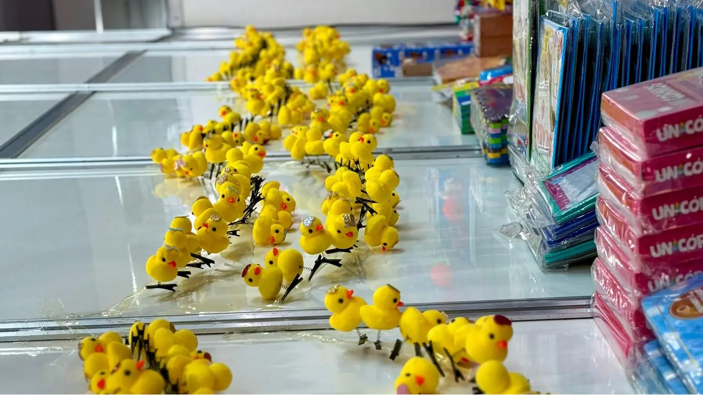 Patinhos amarelos viram atração na Feira do Livro