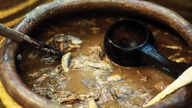 Imagem ilustrativa da notícia: DNA revela ingrediente culinário favorito da Roma Antiga