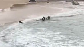 Surfistas salvam adolescente na praia