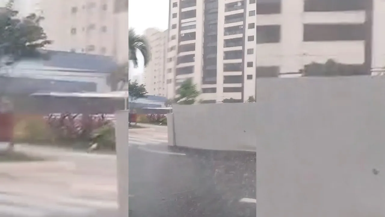 Imagem ilustrativa da notícia: Trânsito: temporal derruba parada de ônibus e causa transtorno em Belém