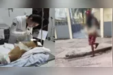 Leis brasileiras protegem animais e aumentam a pena para quem comete maus-tratos contra cães e gatos.