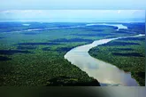 Pará segue avançando no combate ao desmatamento com planejamento e integração de esforços